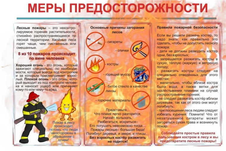 Памятки по ЧС: Как не допустить пожар в лесу. Памятки по ЧС: Как не допустить пожар в лесу.